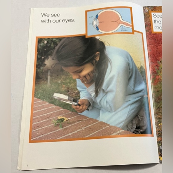 Big Book: See Hear Touch Taste Smell - Picture 4 of 6